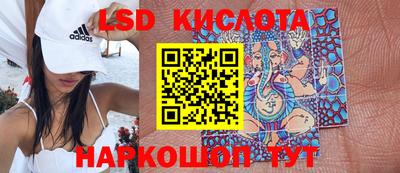 прущие грибы Канаш