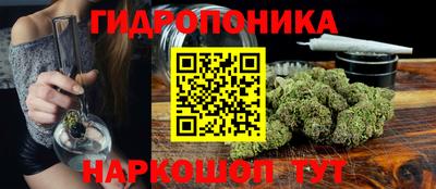 прущие грибы Канаш