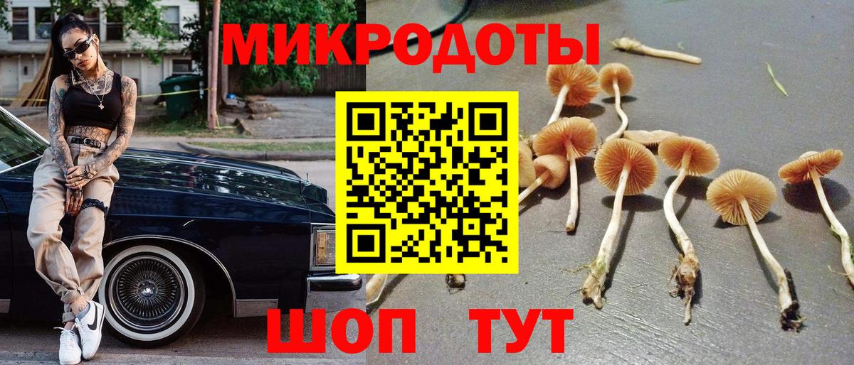 Галлюциногенные грибы ЛСД Ленинск-Кузнецкий